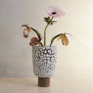 The Curdled Vase