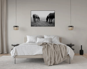Places with Feelings: Graphic Horses