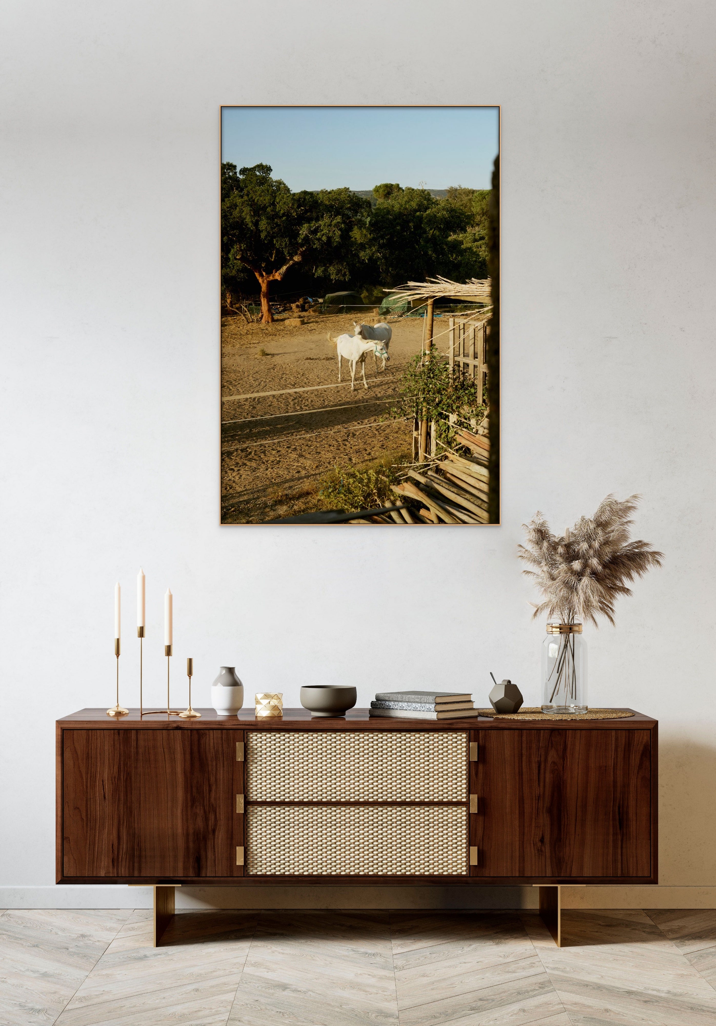 Places with Feelings: Setubal Horses