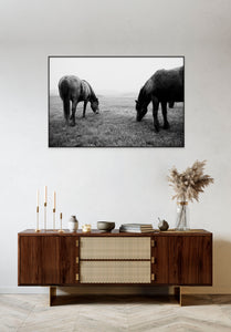 Places with Feelings: Graphic Horses