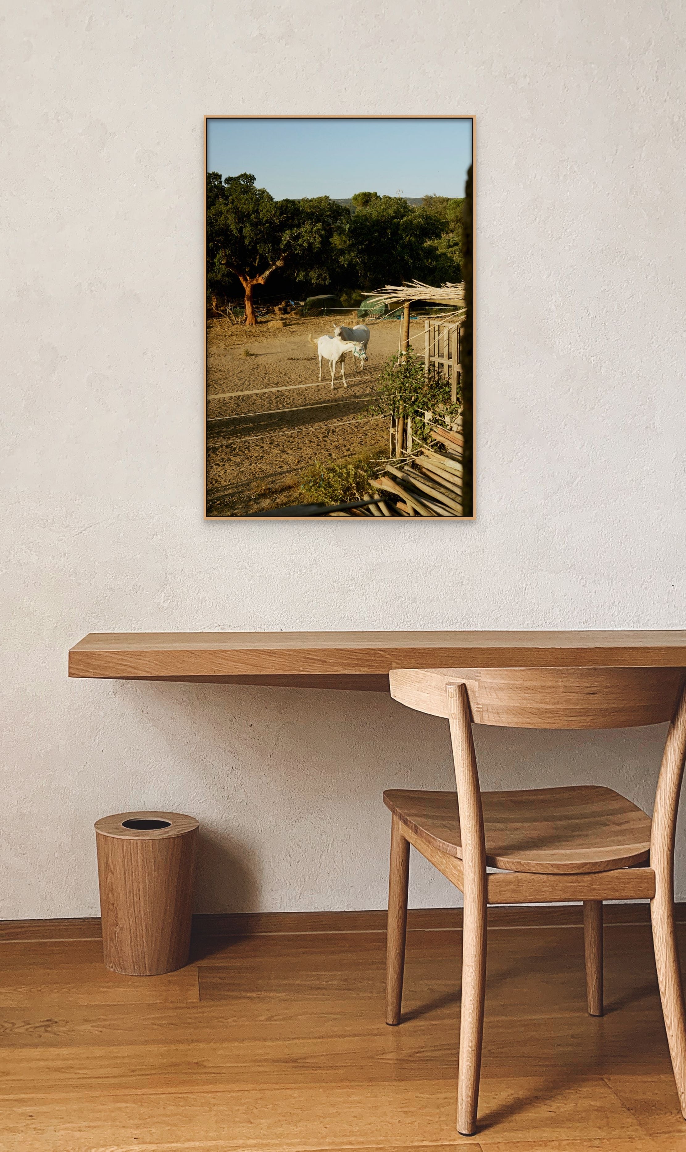 Places with Feelings: Setubal Horses