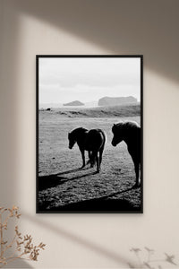 Places with Feelings: Dawn on the Farm