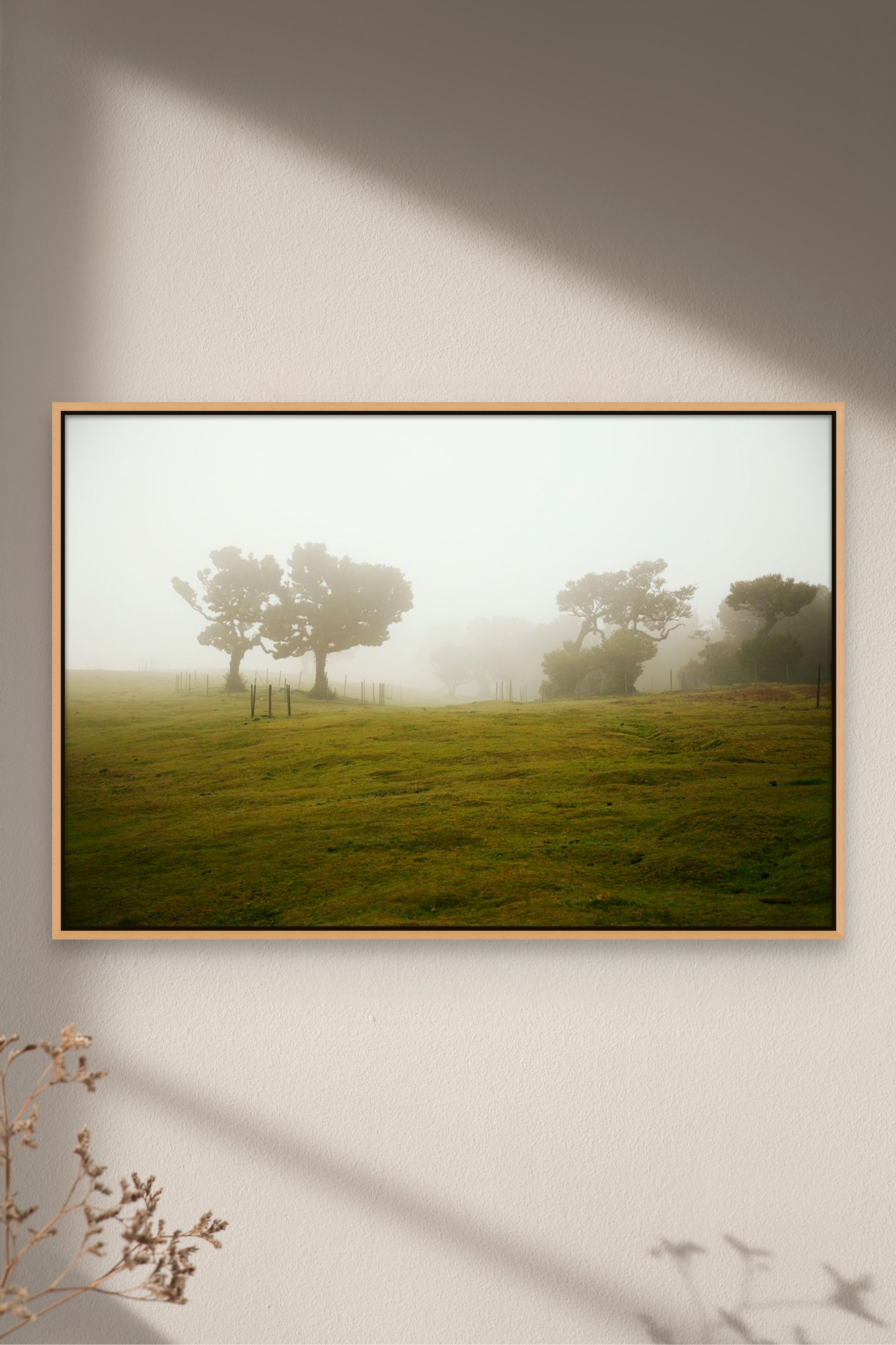Places with Feelings: Finding Fanal