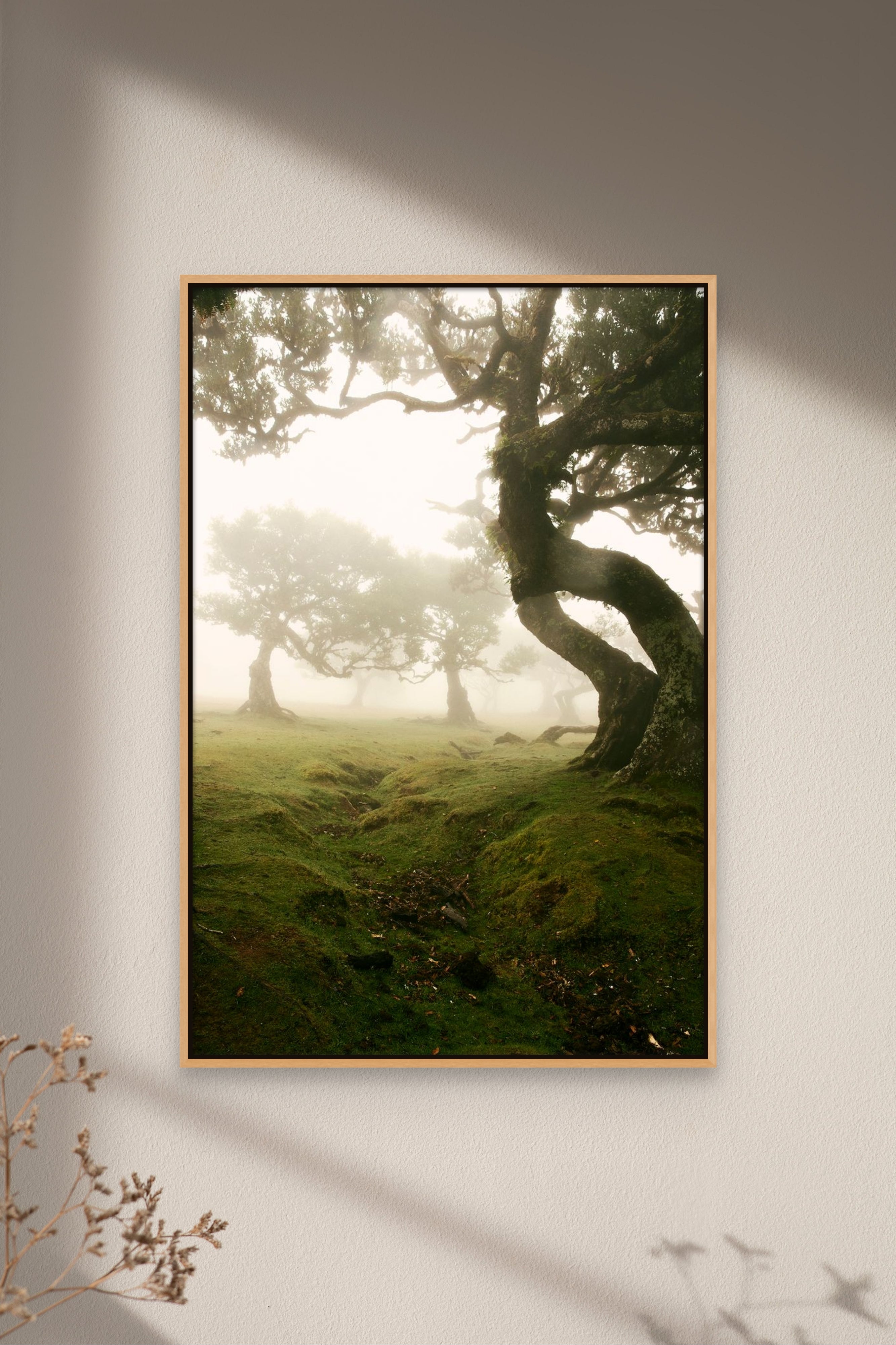 Places with Feelings: The Nook
