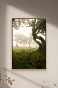 Places with Feelings: The Nook