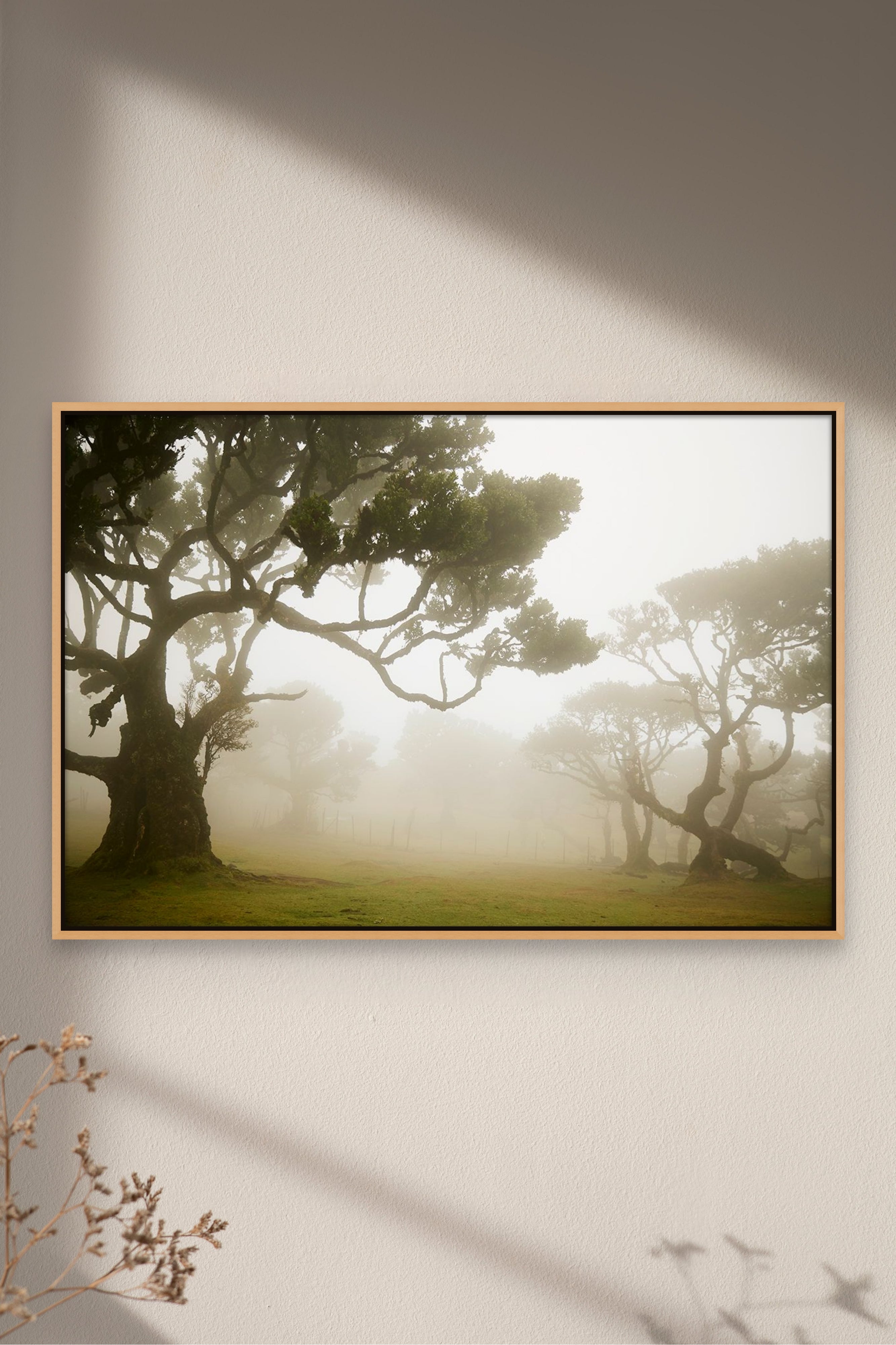 Places with Feelings: The Hollows