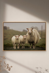 Places with Feelings: Rainy Day Family