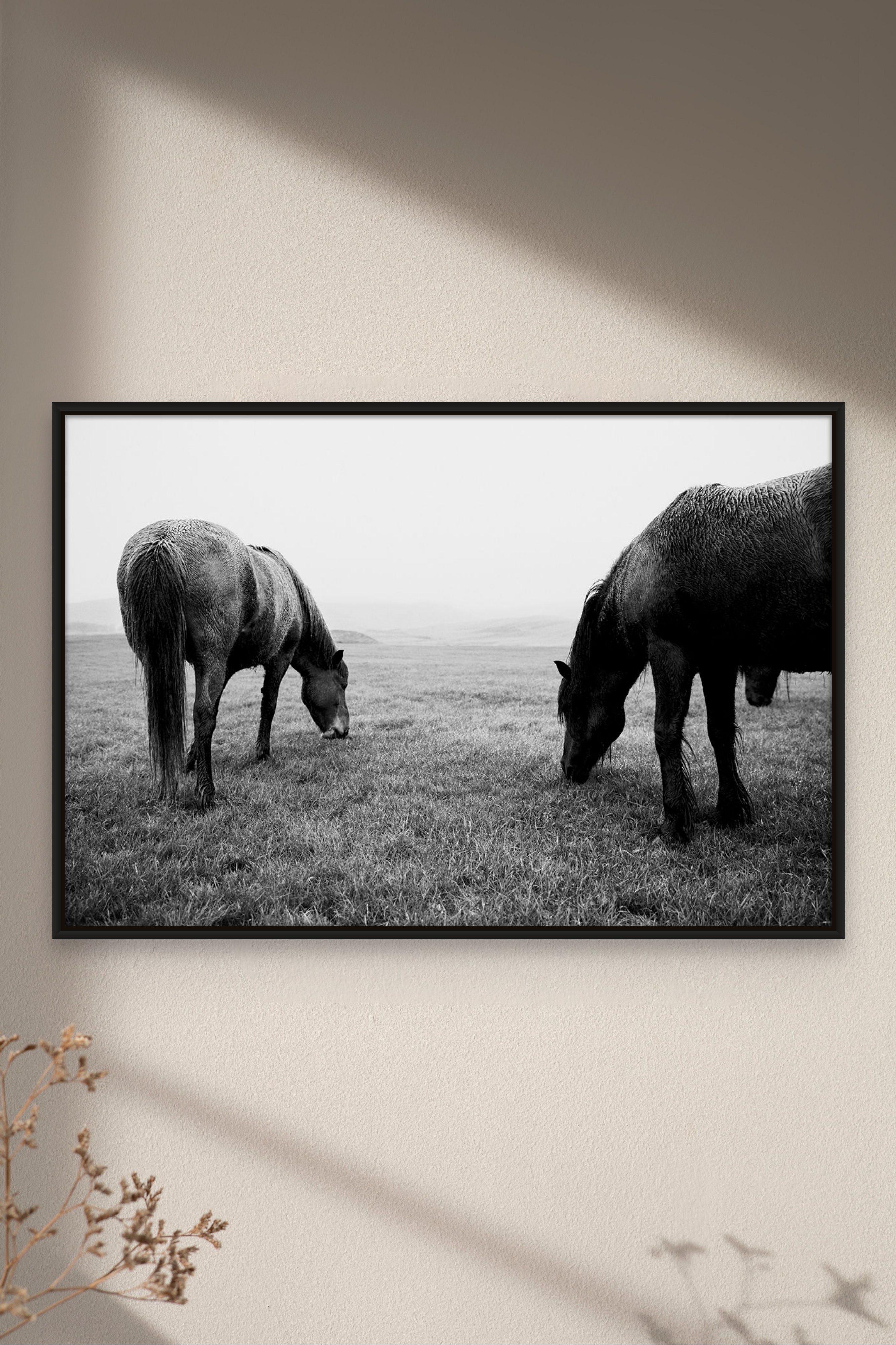 Places with Feelings: Graphic Horses