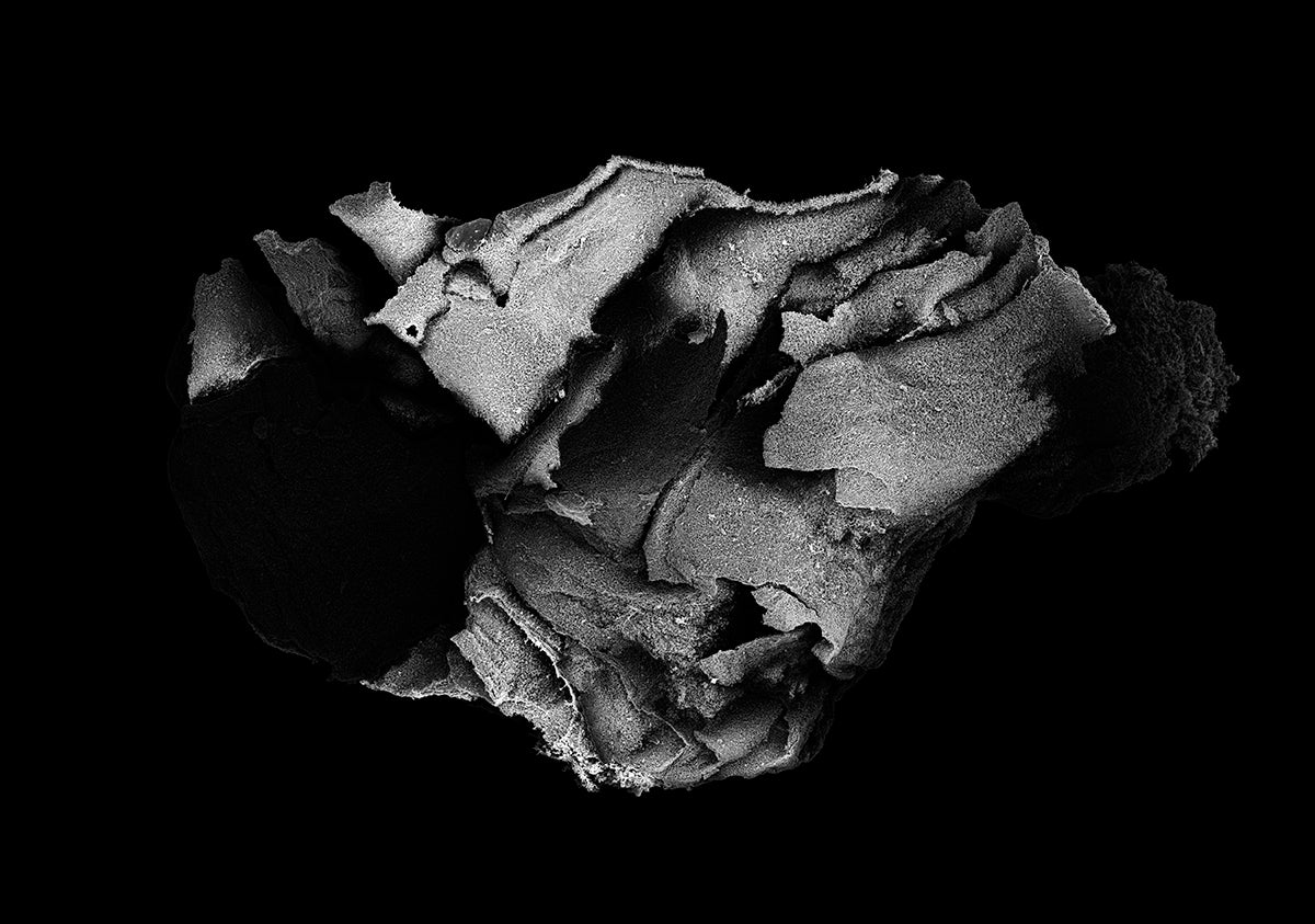 STARDUST 4