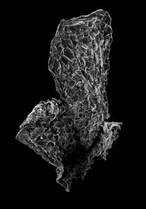 STARDUST 17