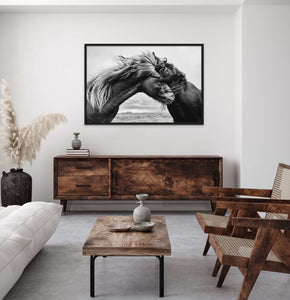 Places with Feelings: Wild Horses, 2022