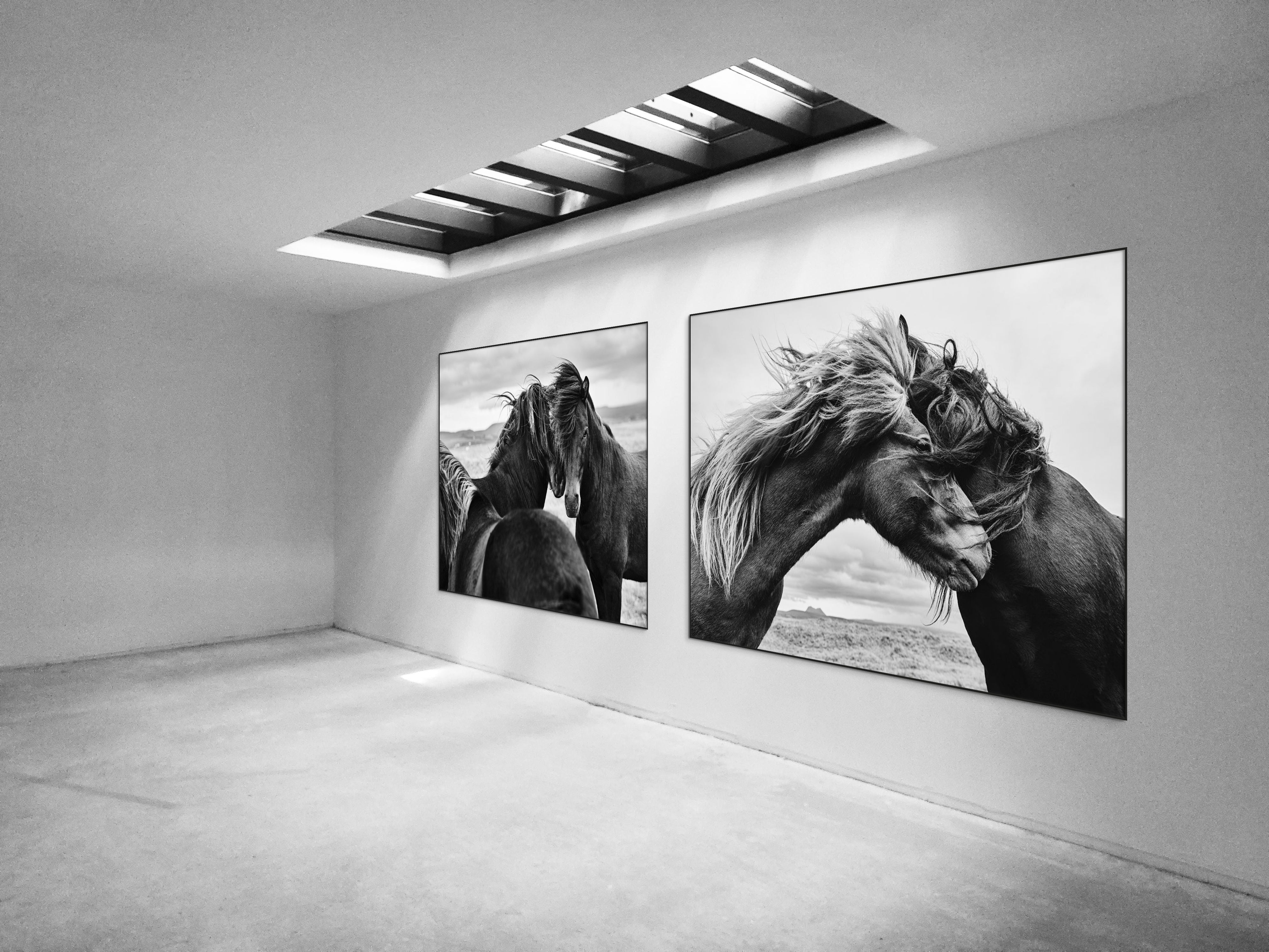 Places with Feelings: Wild Horses, 2022