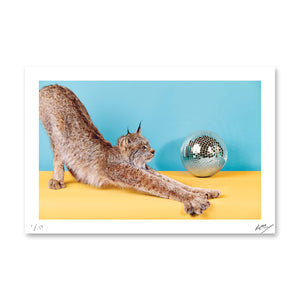 PARTY ANIMALS: The Showoff