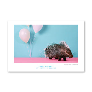 PARTY ANIMALS: When Nobody Comes