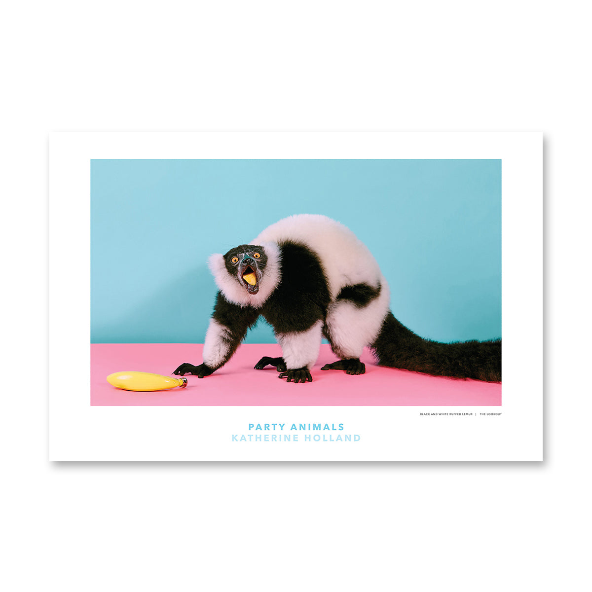 PARTY ANIMALS: The Lookout