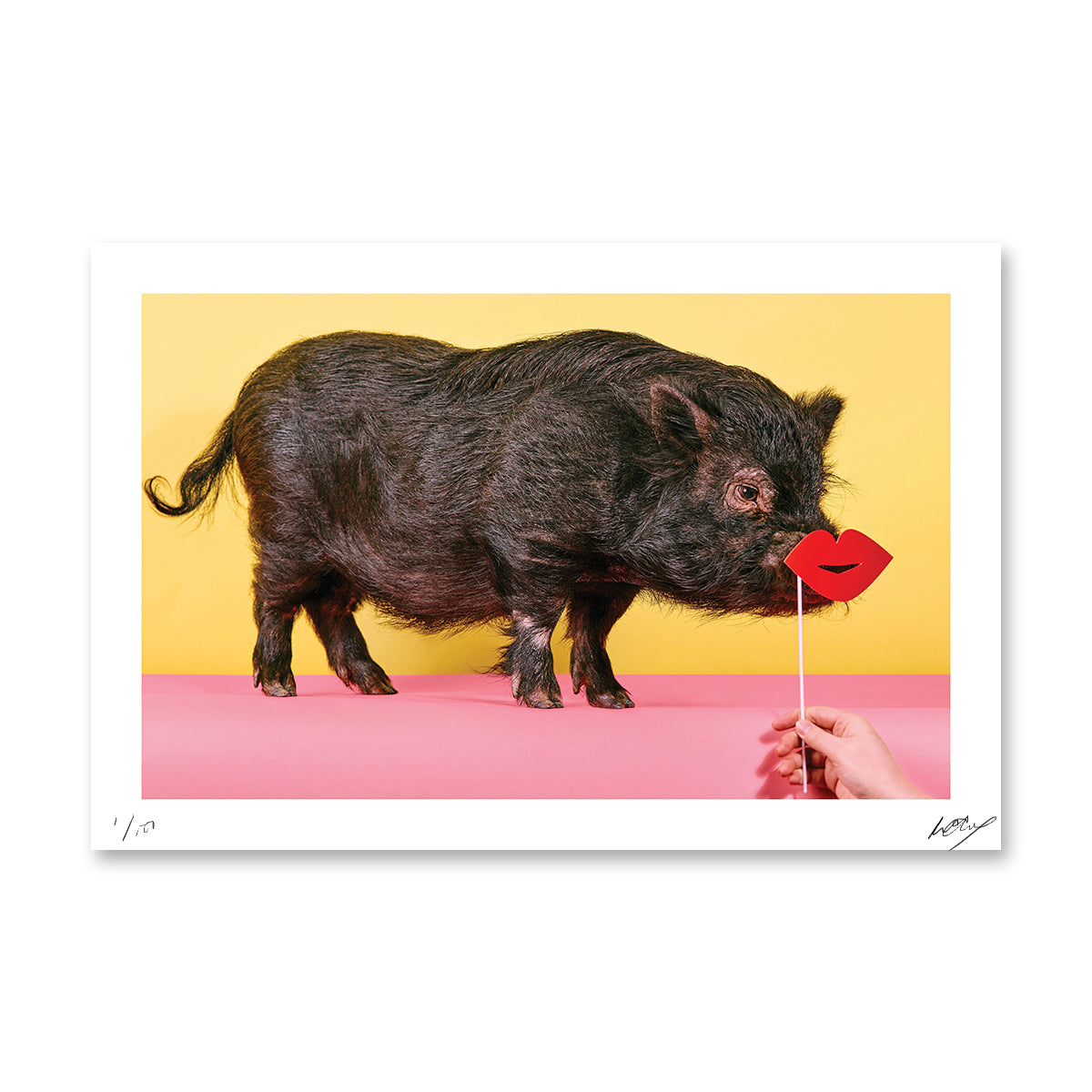 PARTY ANIMALS: The Chaperone
