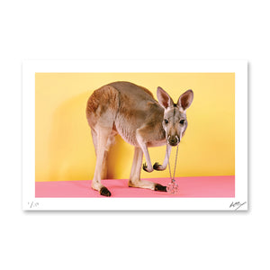 PARTY ANIMALS: The Party Crasher