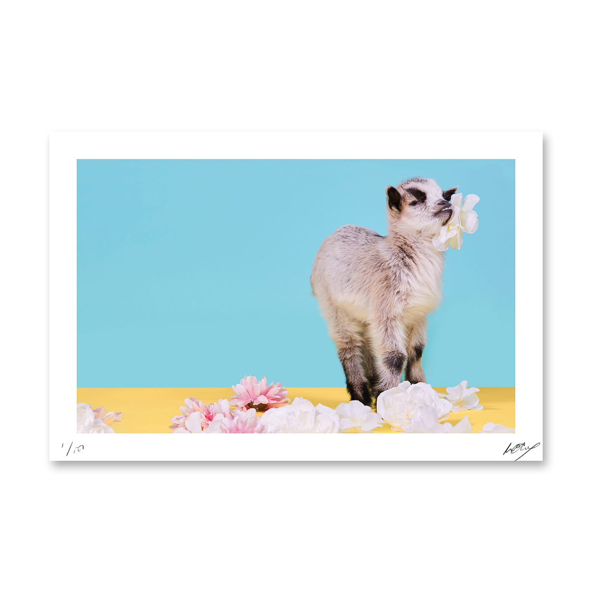 PARTY ANIMALS: The +1
