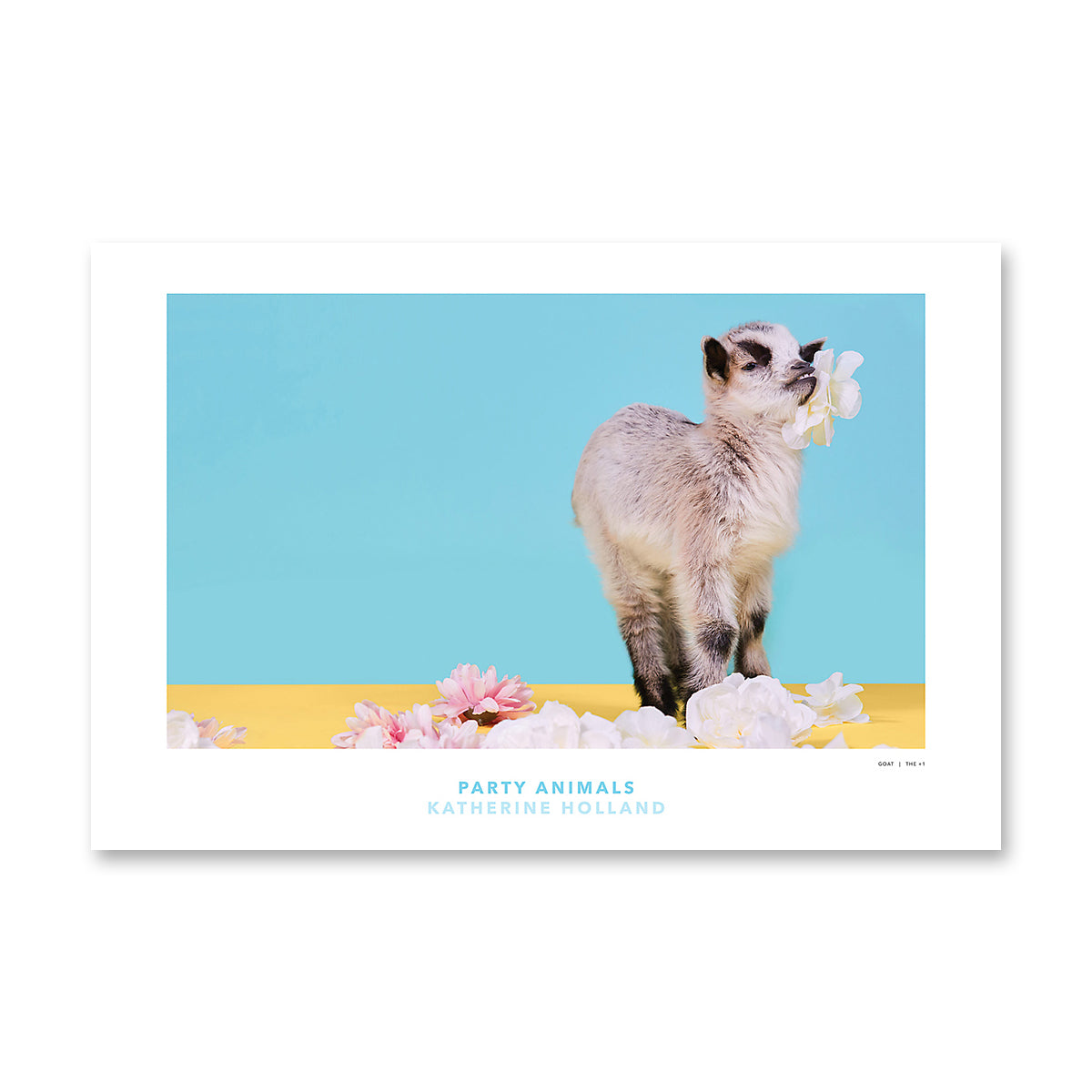 PARTY ANIMALS: The +1