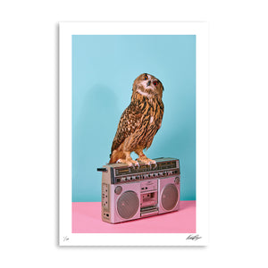 PARTY ANIMALS: The DJ