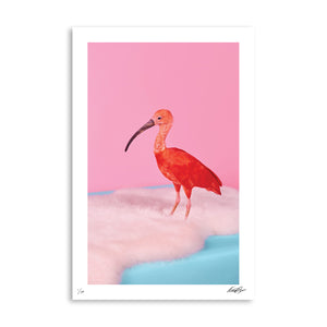 PARTY ANIMALS: Fashionably Late