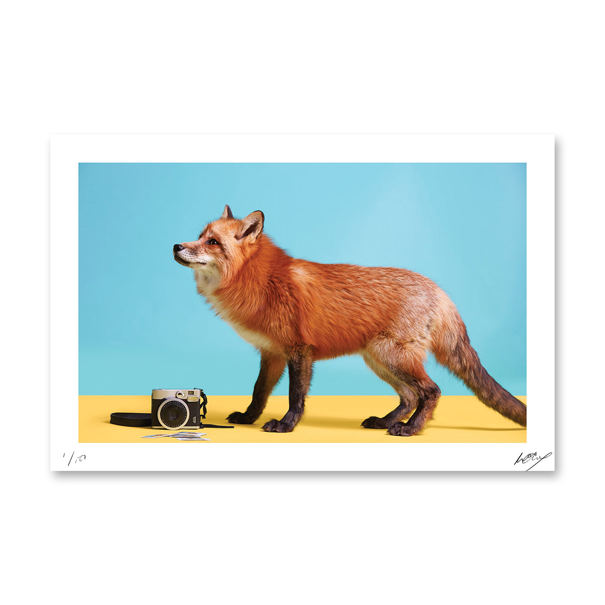 PARTY ANIMALS: The Selfie Artist