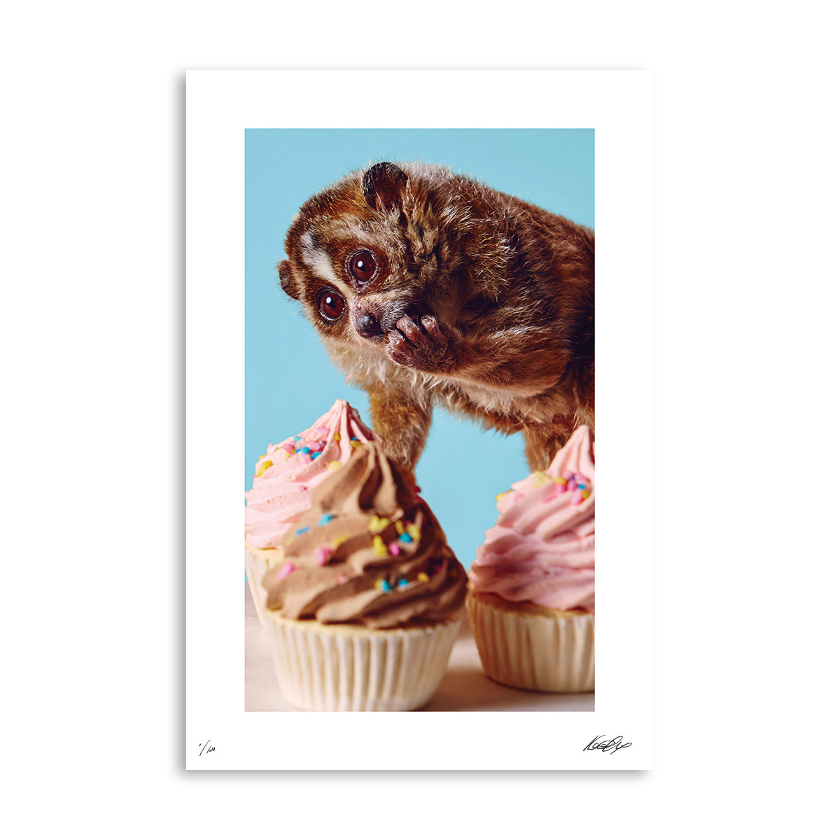 PARTY ANIMALS: The Munchies