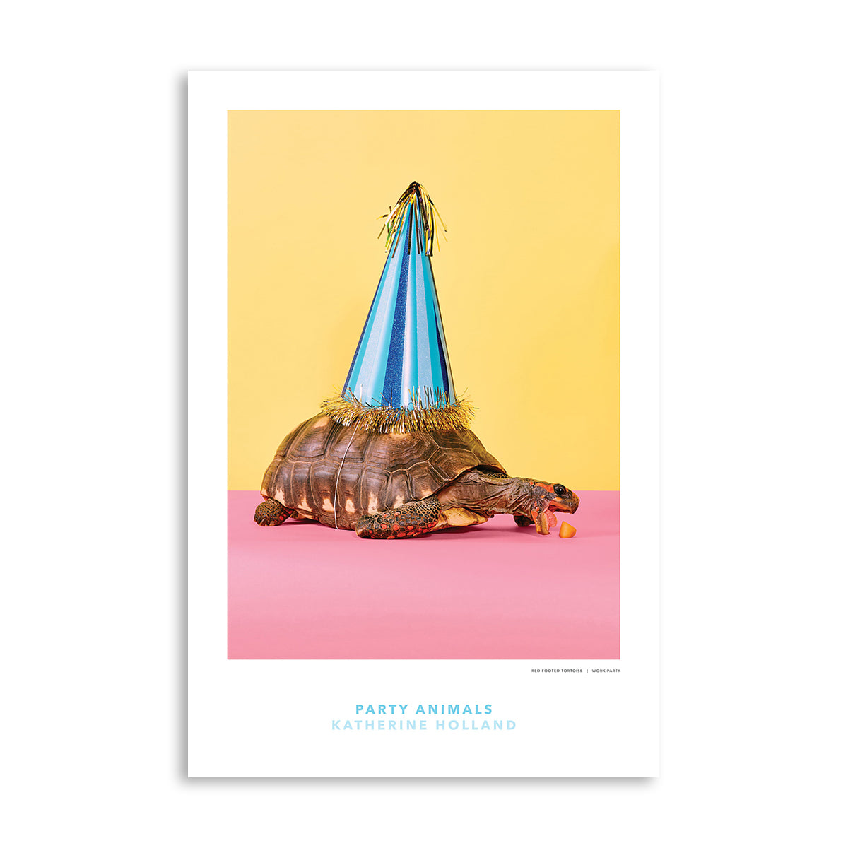 PARTY ANIMALS: Work Party