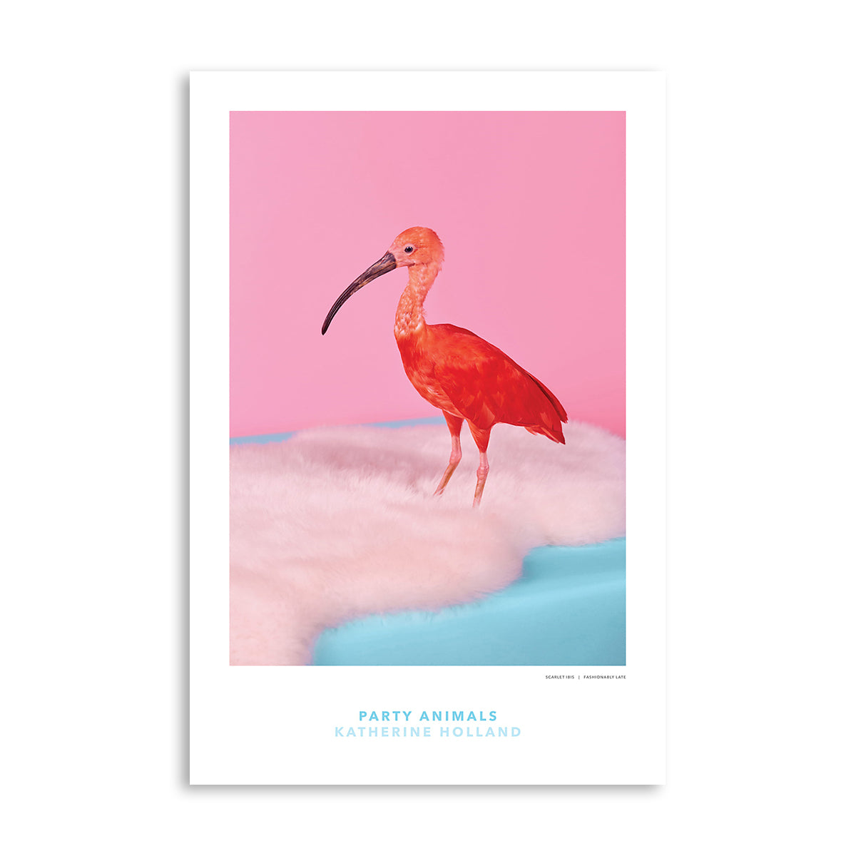 PARTY ANIMALS: Fashionably Late