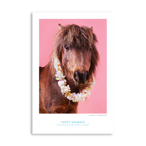PARTY ANIMALS: Only One on Theme