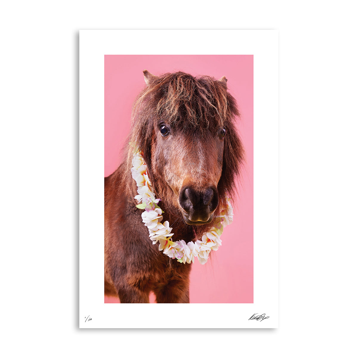 PARTY ANIMALS: Only One on Theme