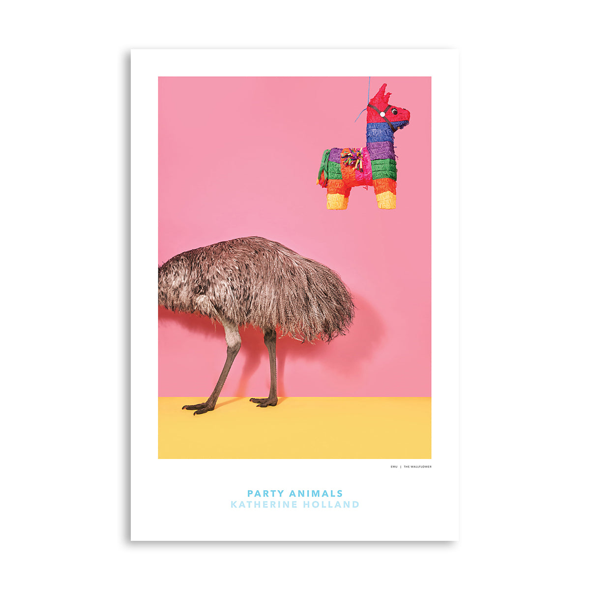 PARTY ANIMALS: The Wallflower