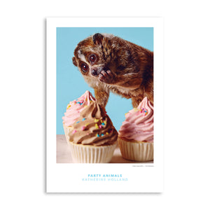 PARTY ANIMALS: The Munchies