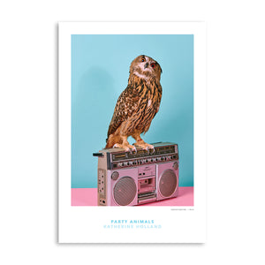PARTY ANIMALS: The DJ
