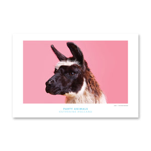 PARTY ANIMALS: The Eligible Bachelor
