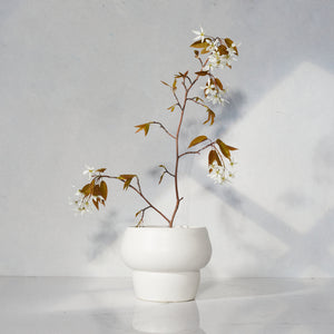 The Mushroom Vase (crisp white)
