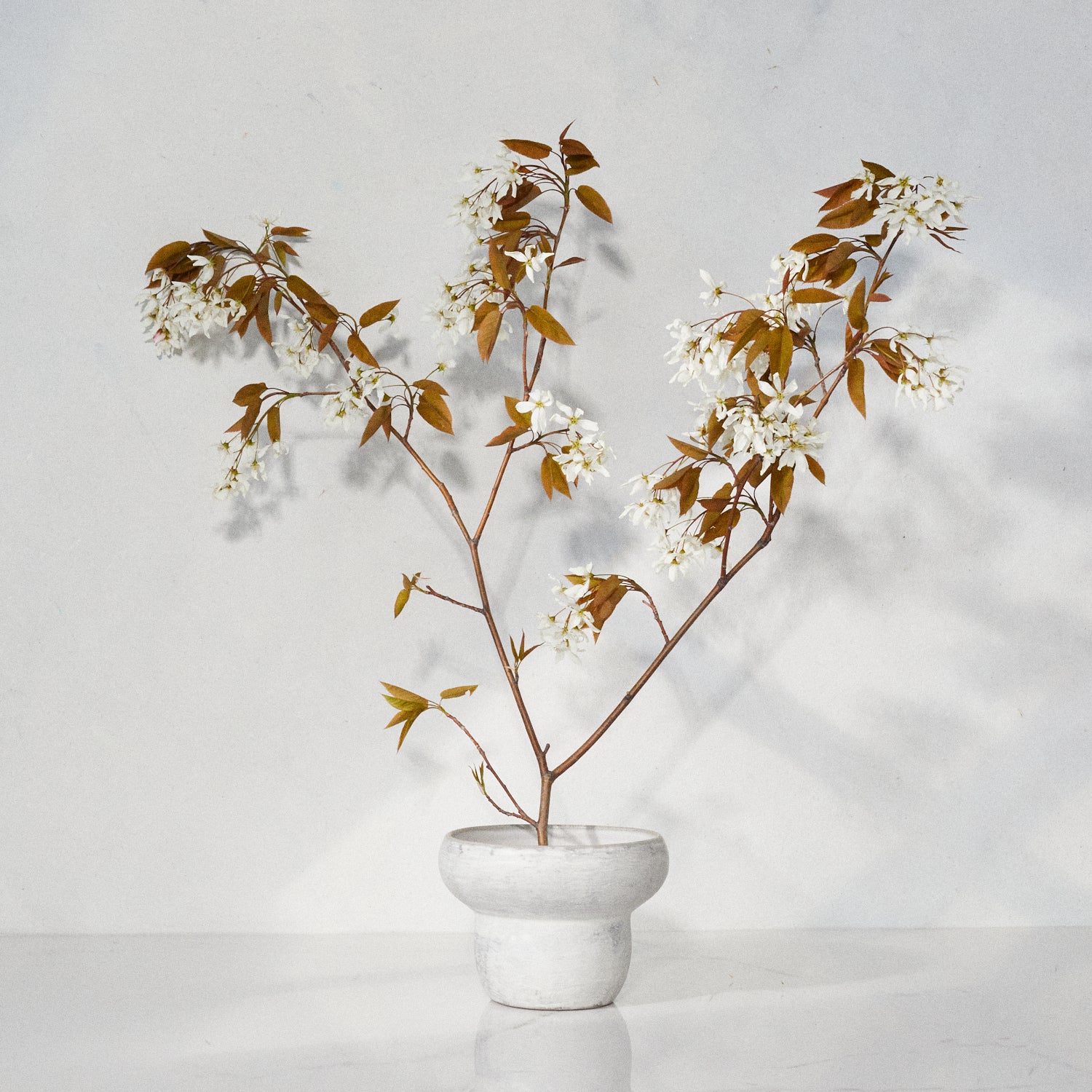 The Mini Mushroom Vase