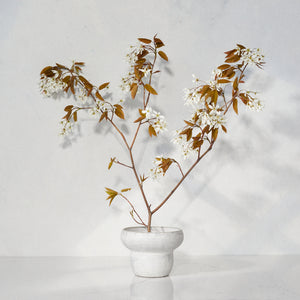 The Mini Mushroom Vase