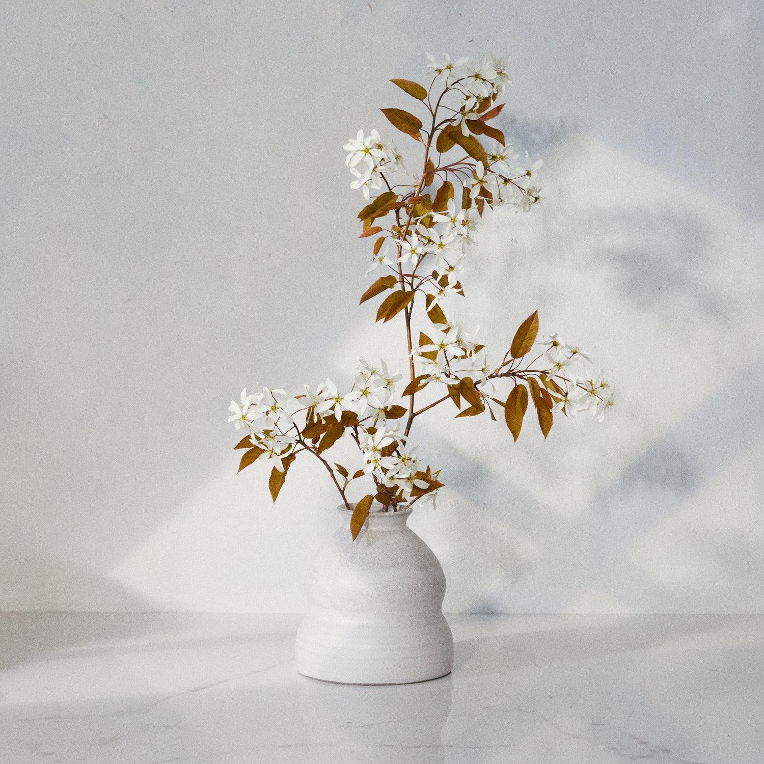 The Melting Vase