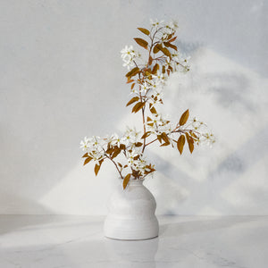 The Melting Vase