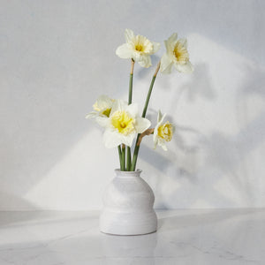 The Melting Vase