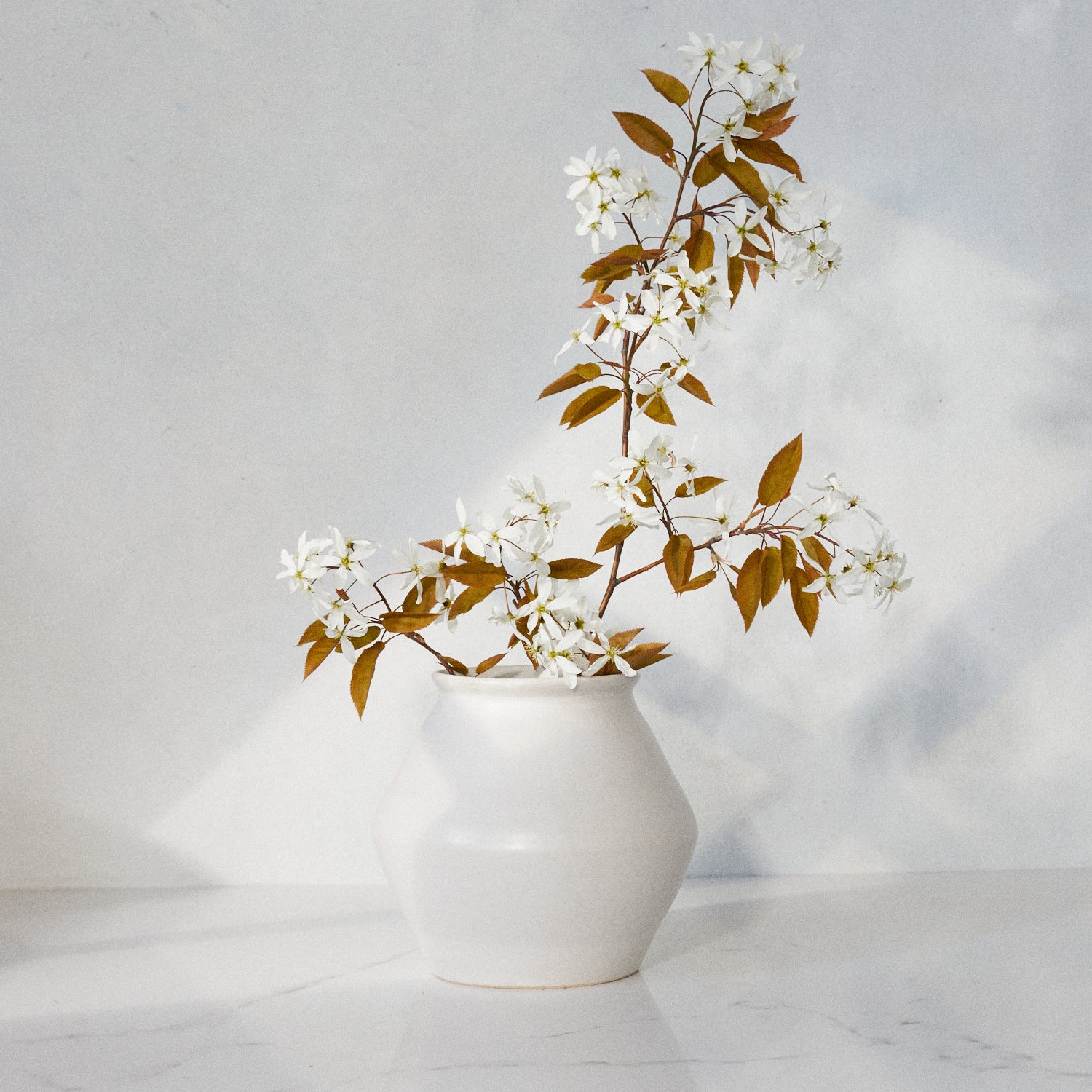 The Primitive Vase