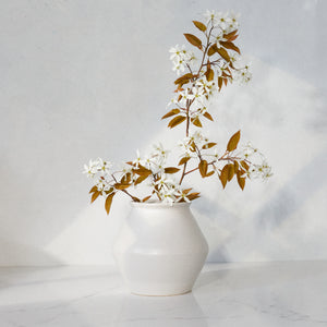 The Primitive Vase