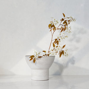 The Pedestal Vase