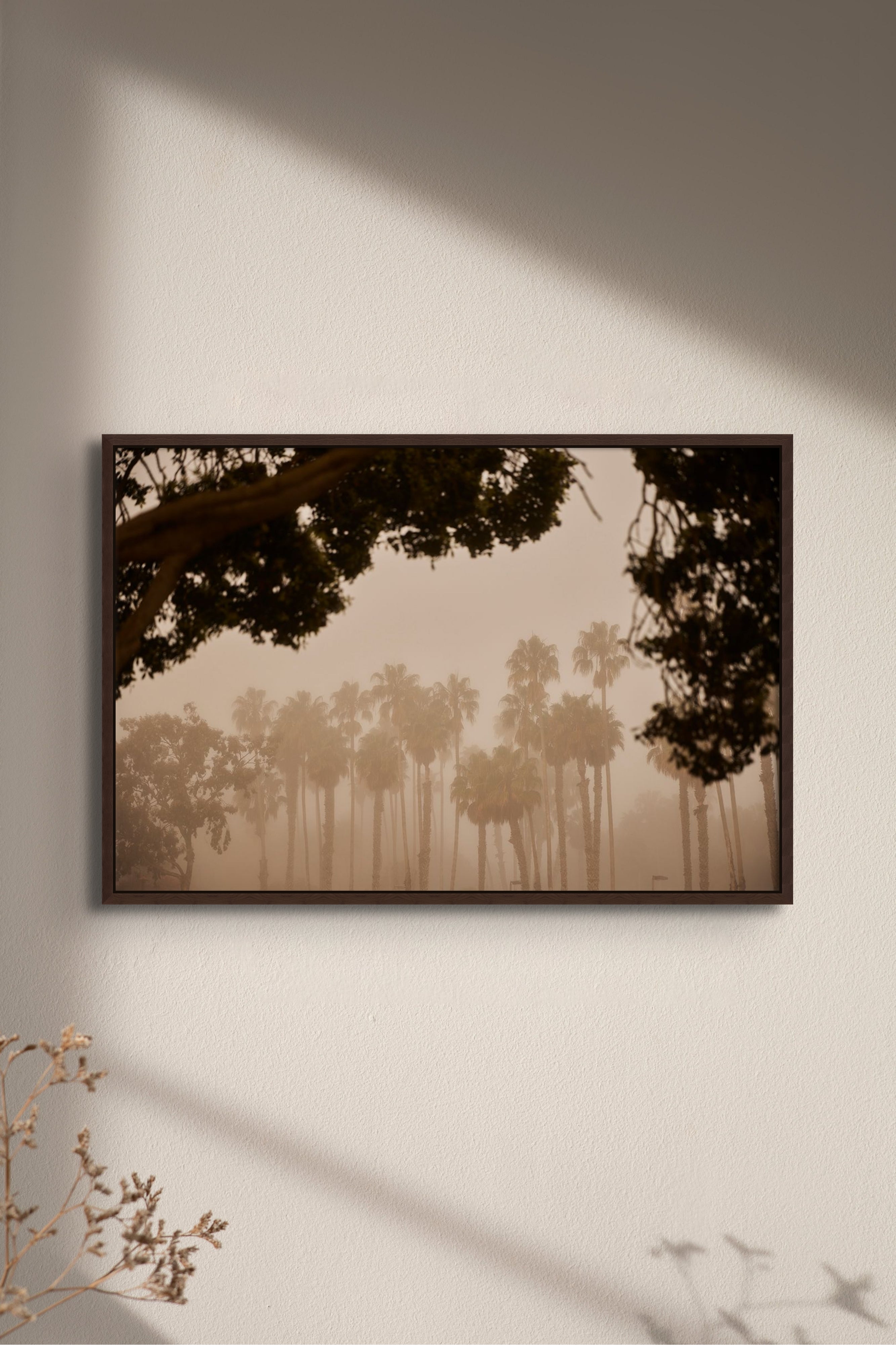 Places with Feelings: Palms at Dawn, 2022