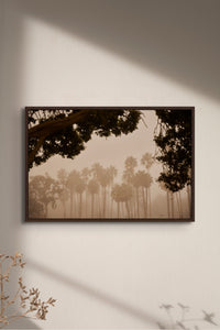 Places with Feelings: Palms at Dawn, 2022