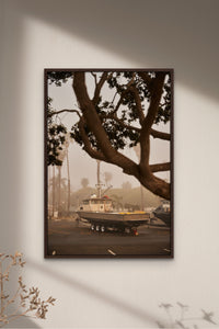 Places with Feelings: The Harbor, 2022
