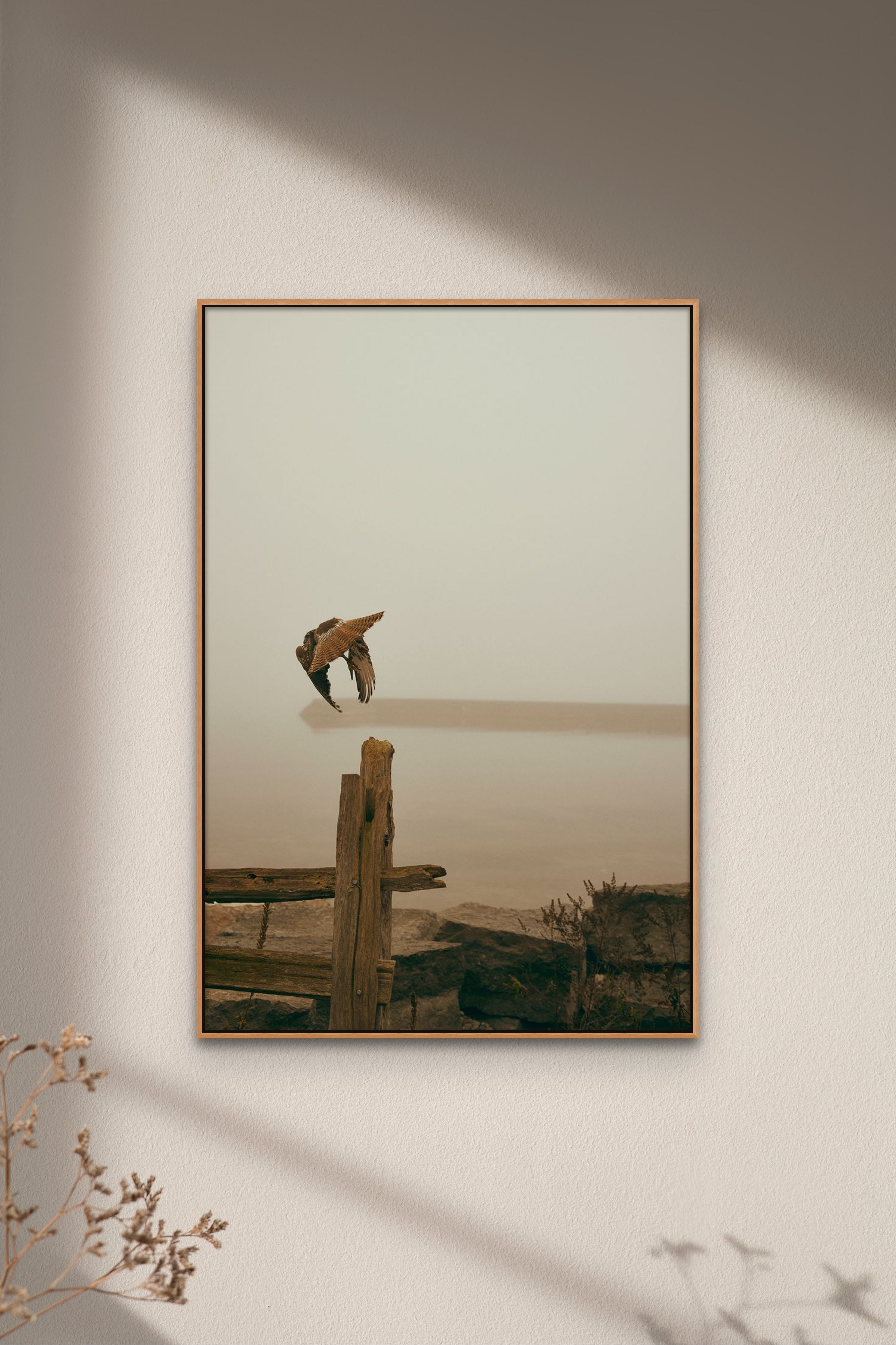 Places with Feelings: Lake Ontario Hawk, 2022